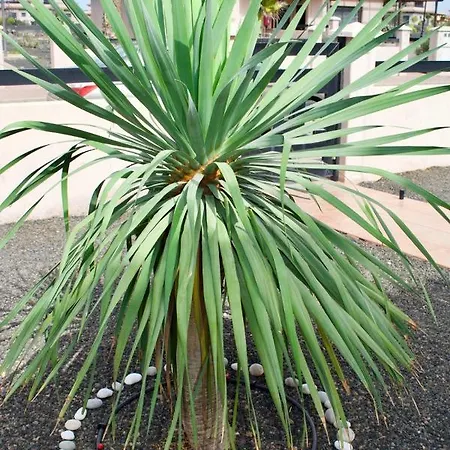 בית נופש The Wind's Breath, Perfect For Relaxing Getaway *